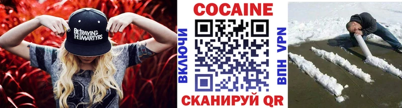 MEGA ссылки  Дорогобуж  КОКАИН FishScale 