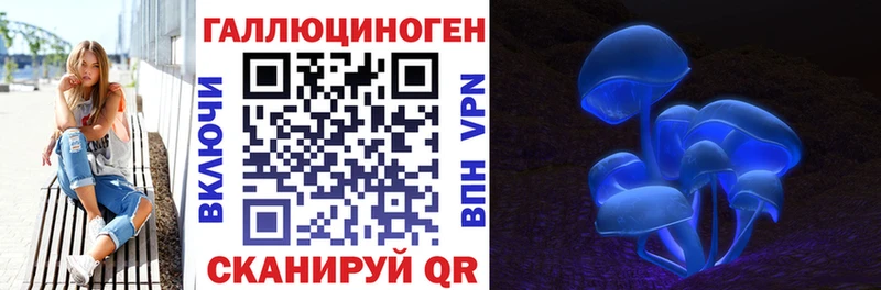 Галлюциногенные грибы Psilocybine cubensis  blacksprut рабочий сайт  Дорогобуж  магазин  наркотиков 